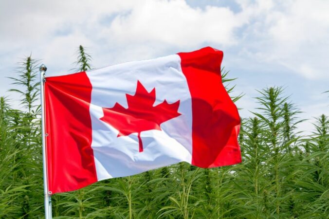 Fra forbud til fremskridt: Canadas cannabis-erfaringer