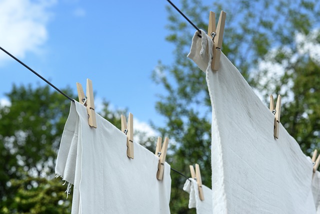 Leje af vaskemaskine – en fleksibel løsning til små og store husholdninger